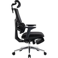 Evolution LumbarPro FR AL (черный)