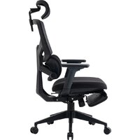 Evolution LumbarPro FR (черный)