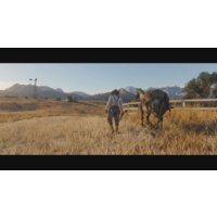 Red Dead Redemption 2 для PlayStation 4 Image #17