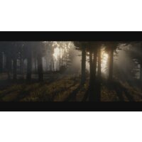 Red Dead Redemption 2 для PlayStation 4 Image #11